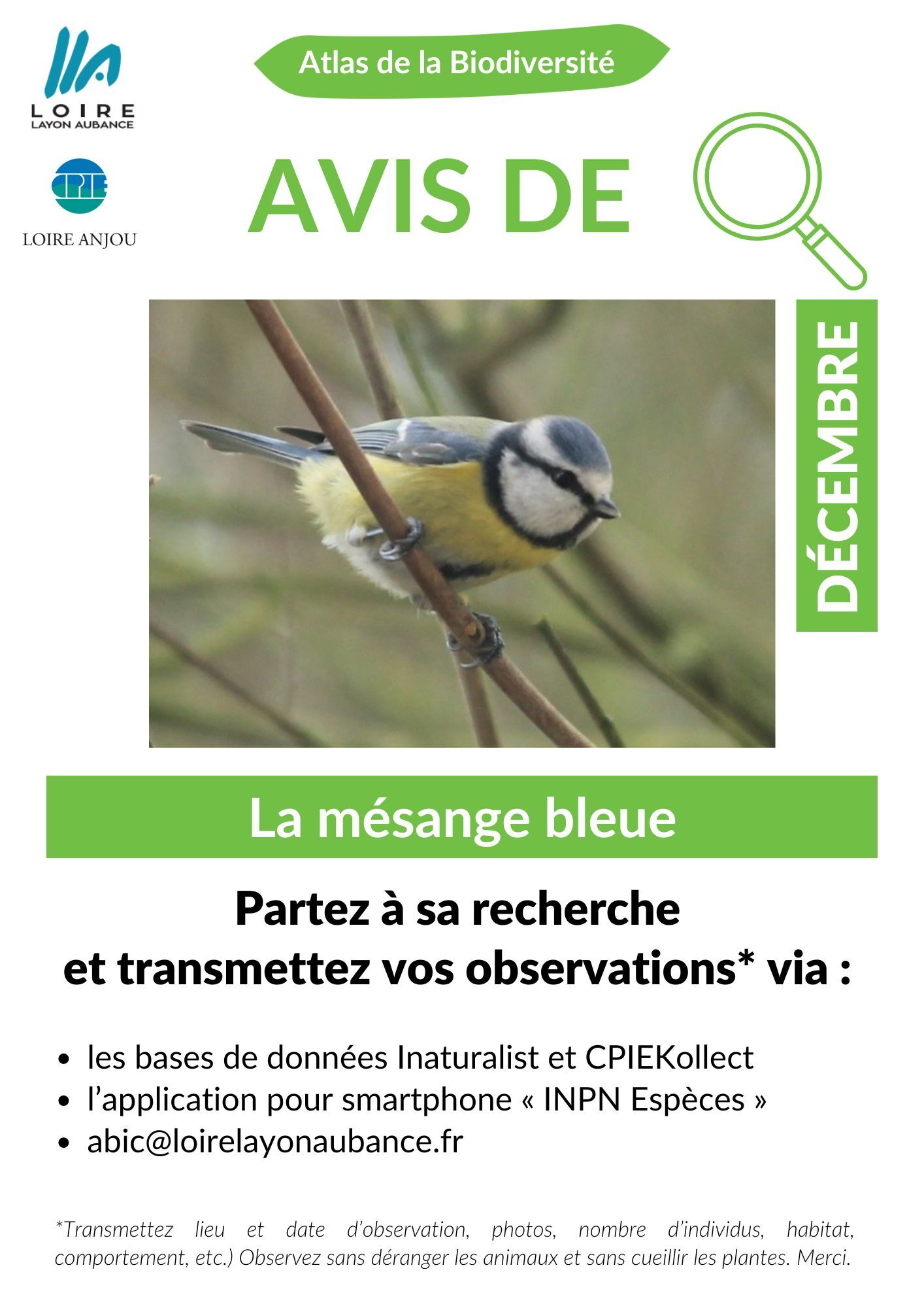 avis de recherche décembre