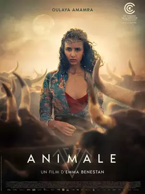 Affiche - Animale